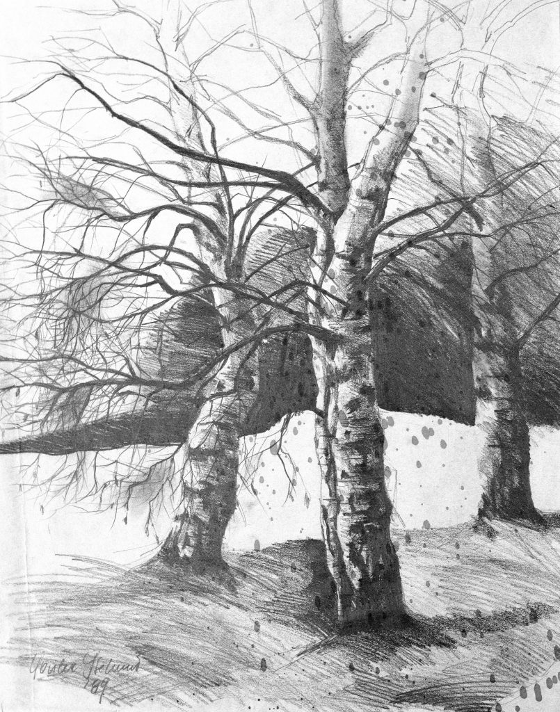 Bleistift, 49 x 39 cm, 1989