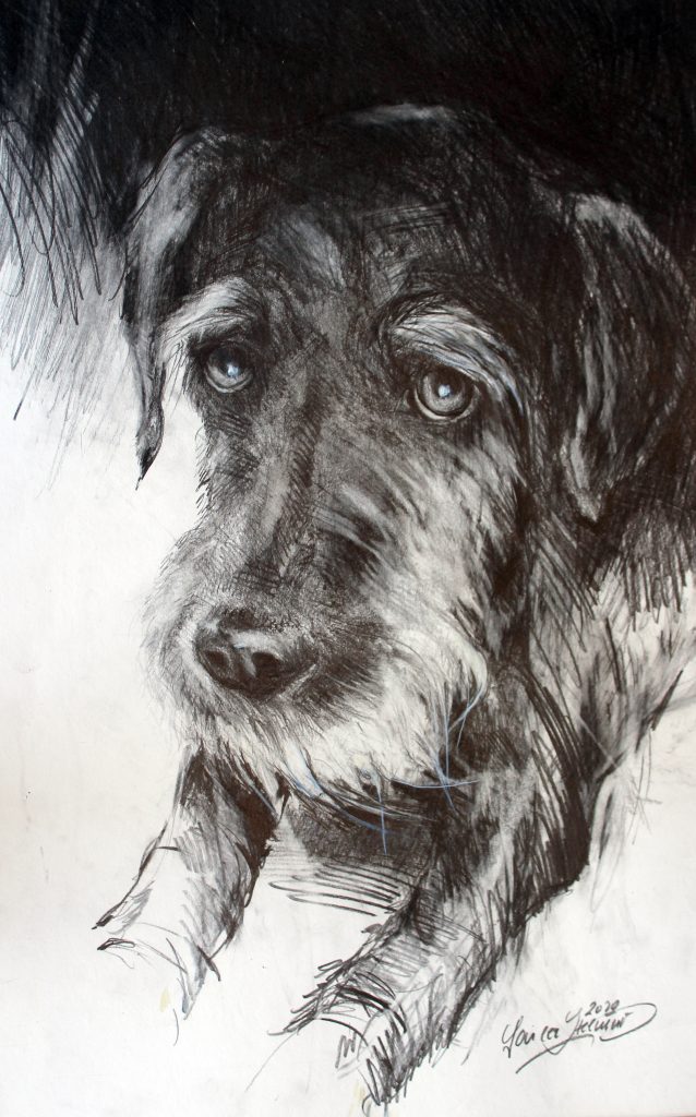Hassan, Graphit, Papier, 80 x 60, 2020