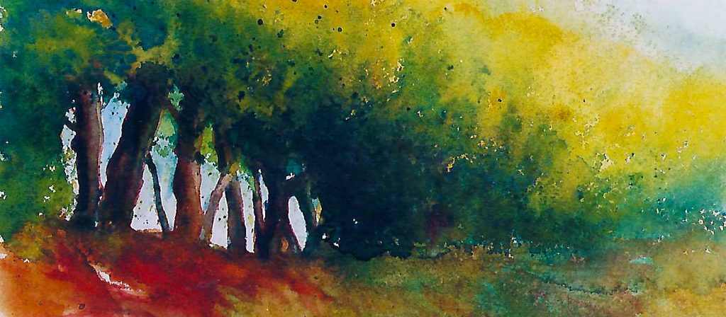 18 x 30 cm, 2001