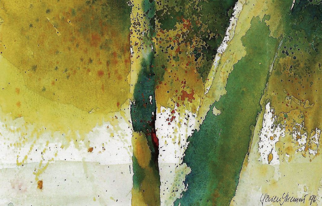 25 x-35 cm, 1996