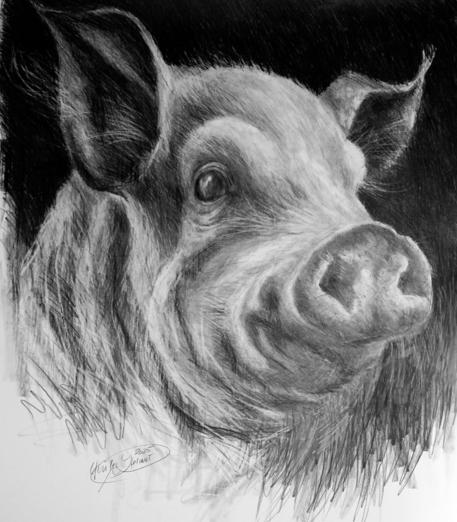 Graphit, Papier, 80 x 67 cm, 2025